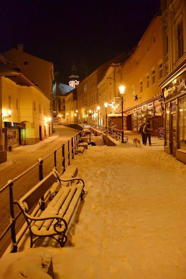 Penzion Nostalgia Banská Štiavnica エクステリア 写真